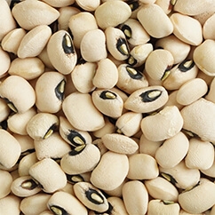 Black Eye Bean10 24