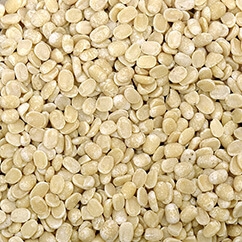 Black Matpe Bean10 39