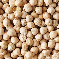 Kabuli Chickpea10 33