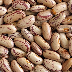 Light Speckled Kidney Bean10 50