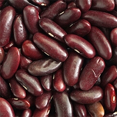 Red Kidney Bean10 00