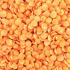 Red Lentils10 35