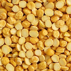 Split Chickpea10 47