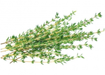 thyme